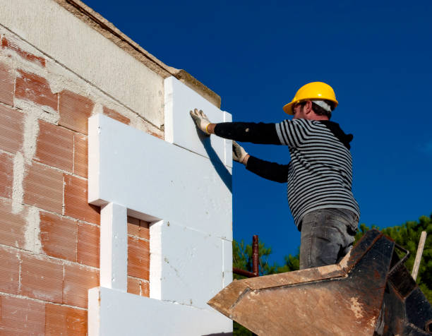 Best Insulation Installation Services in Douglas, MI