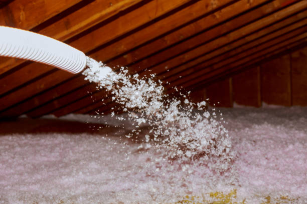 Best Residential Insulation in Douglas, MI