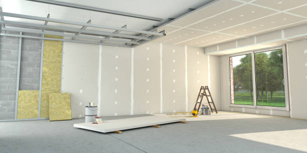 Best Insulation Installation Services in Douglas, MI