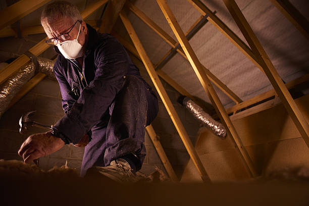 Best Insulation Maintenance and Repair in Douglas, MI